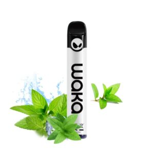 WAKA SOLO2 2500 Puffs 5% - Fresh Mint