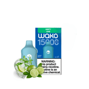 WAKA Kick 15000 Puffs 5% - Minty Lime