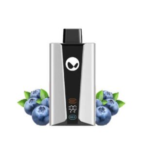 WAKA SoPro 25000 puffs 5% - Blueberry Splash