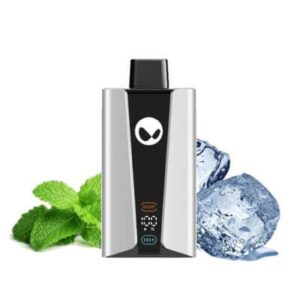 WAKA SoPro 25000 puffs 5% - Fresh Mint